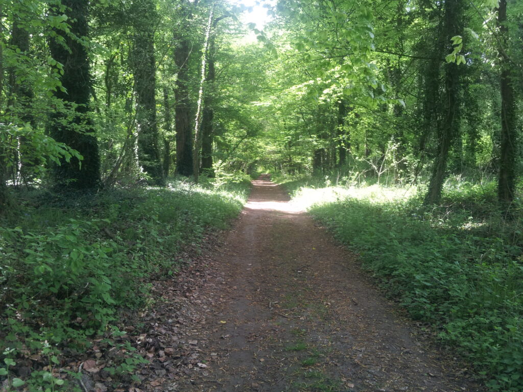 walk and talk